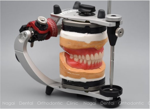 歯科先進国ドイツの技術